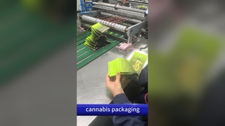 チャイルドプルーフ出口バッグ: 米国特許準拠の防臭B2Bカスタムプリントポーチ