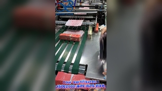 ブランドメーカー向けにカスタム印刷された子供用ランドリーポッドジッパーバッグ