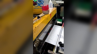 カスタム印刷されたフロストグラシンバッグパーソナライズされたロゴリサイクル可能なギフトバッグ