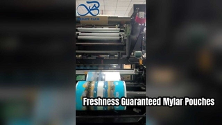 印刷されたマイラーポーチ気密食品グレードの再密封可能な収納ポーチ