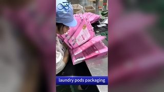 ランドリーポッドプラスチックジッパーバッグ:チャイルドプルーフ防湿B2B卸売カスタム