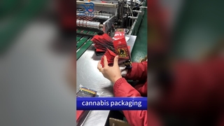 子供用安全袋の卸売業者: 米国特許 B2B 準拠の安全なカスタム印刷ポーチ