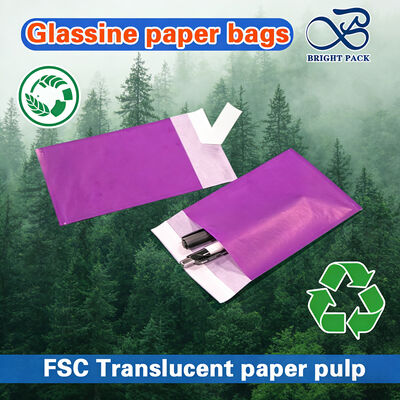 高級アパレルパッケージ用の透明性高さとカスタマイズ可能なサイズを持つFSC認定ガラス製紙袋